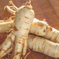 Ginseng Sugar Defender ingredient