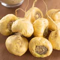 Maca Root Sugar Defender ingredient